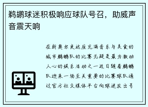鹈鹕球迷积极响应球队号召，助威声音震天响