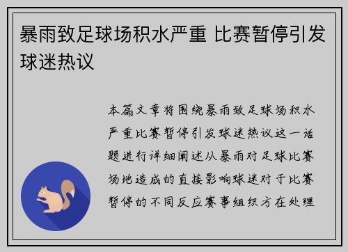 暴雨致足球场积水严重 比赛暂停引发球迷热议