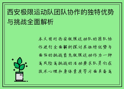 西安极限运动队团队协作的独特优势与挑战全面解析